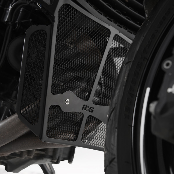 R&G Downpipe Grille for the BMW F900 R '20-